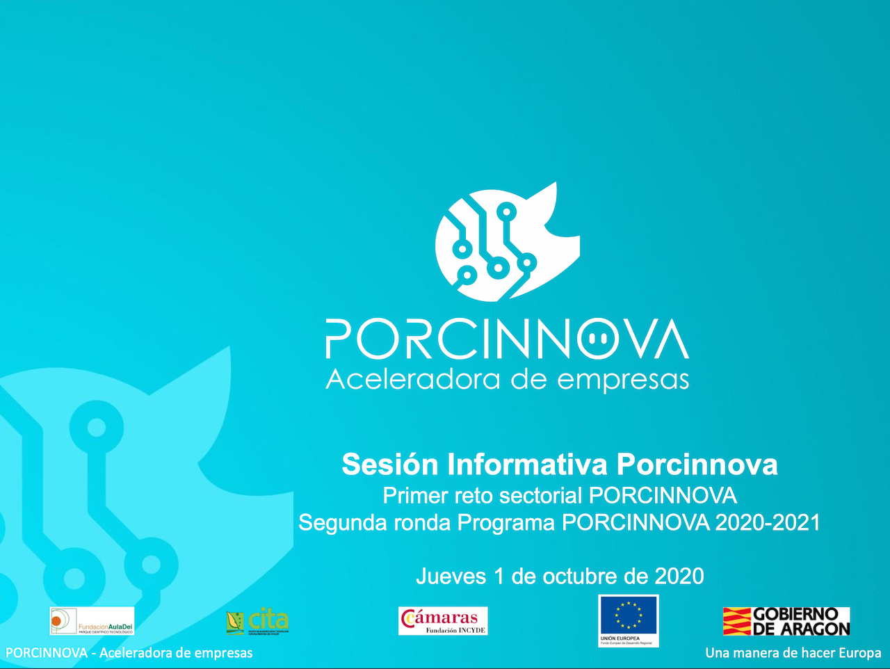 Porcinnova organiza el segundo InfoDay para los aspirantes a entrar en las convocatorias activas
