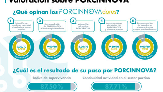 Infografia_resultados_encuesta_PORCINNOVAdores
