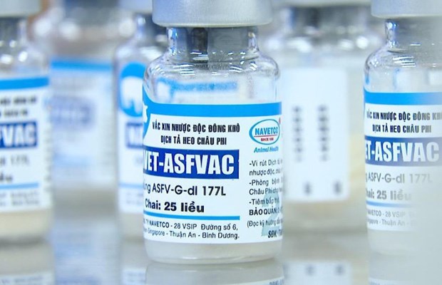 La vacuna comercial NAVET-ASFVAC de la empresa nacional Navetco (Fuente: Navetco)