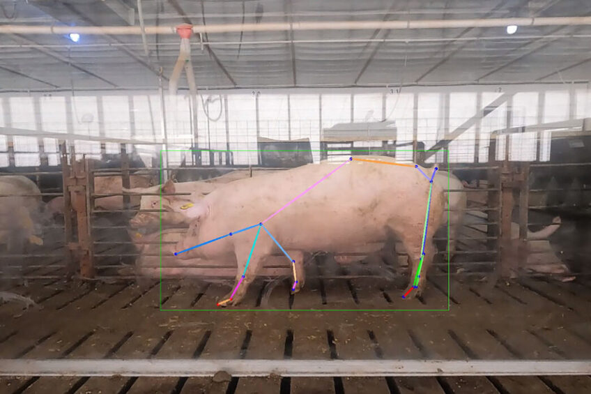 tecnología al servicio del sector porcino